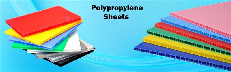 How one business improved hygiene standards with polypropylene sheets